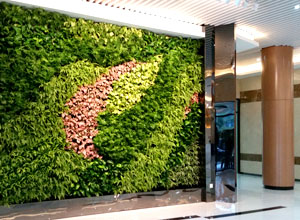 生态活体植物墙