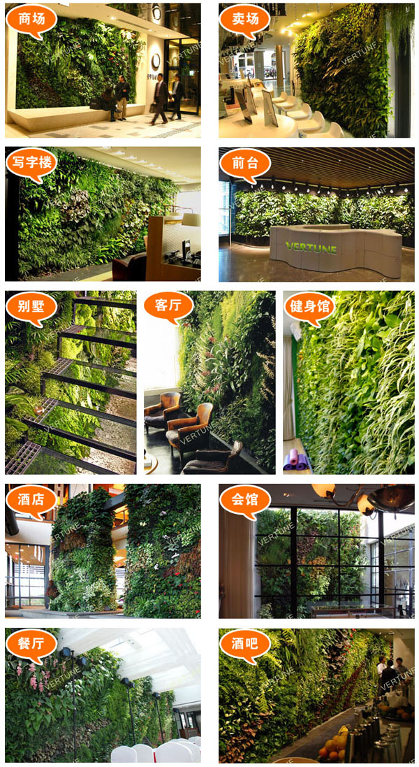 植物墙的应用场景|VERTUNE|深圳微甜绿墙