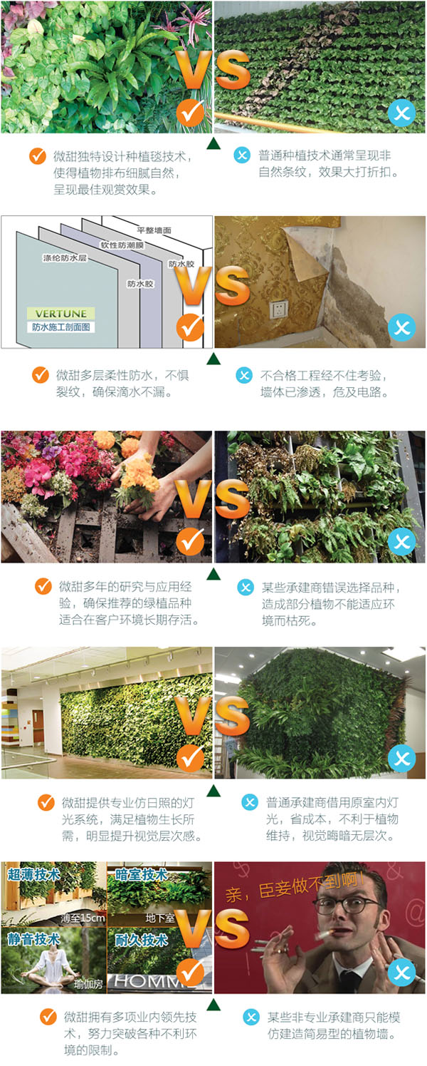 深圳微甜植物墙的众多技术优势|VERTUNE|深圳微甜绿墙