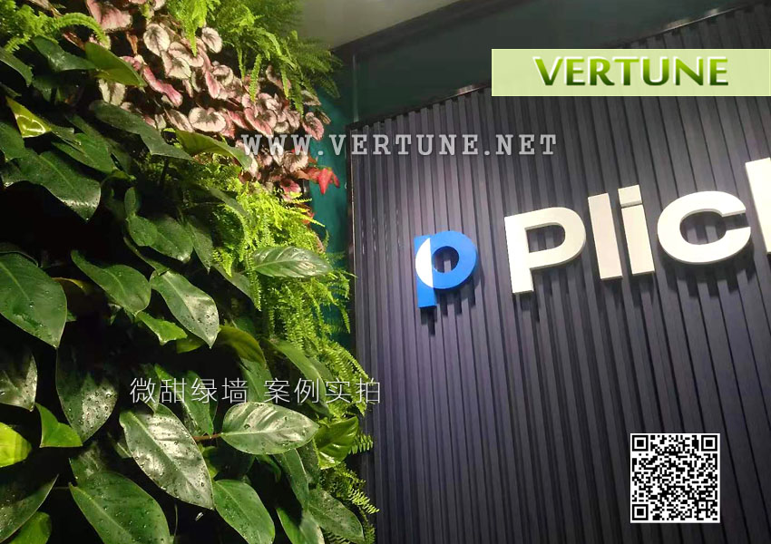 福田Plich植物墙案例图片